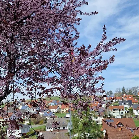 Ferienwohnung Wachter In Viereth Mit Tollem Ausblick Camera foto