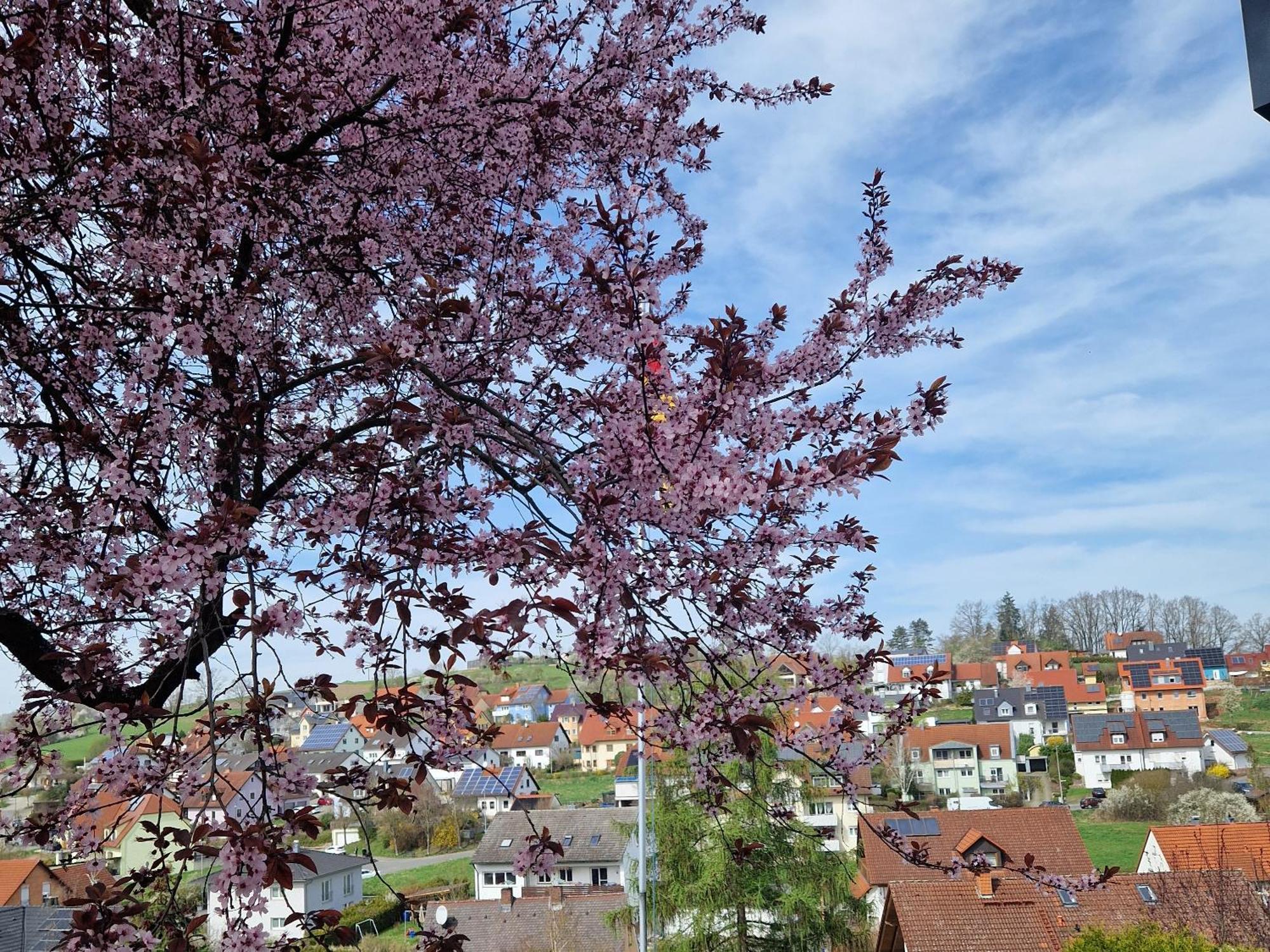 Apartment Wachter In Mit Tollem Ausblick Viereth-Trunstadt